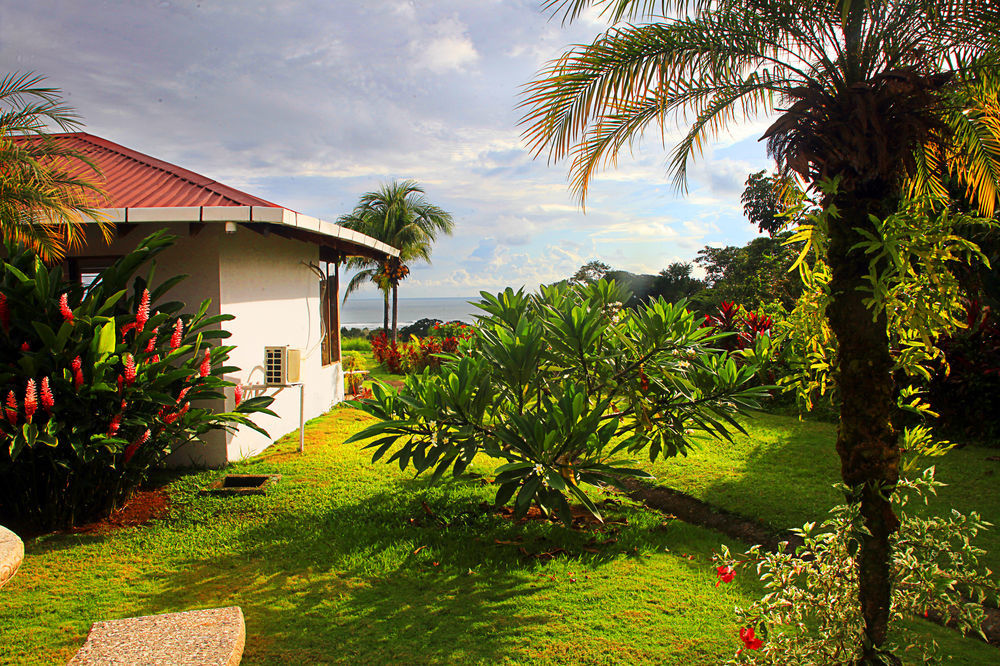 Hotel Lookout Playa Tortuga Ojochal Luaran gambar